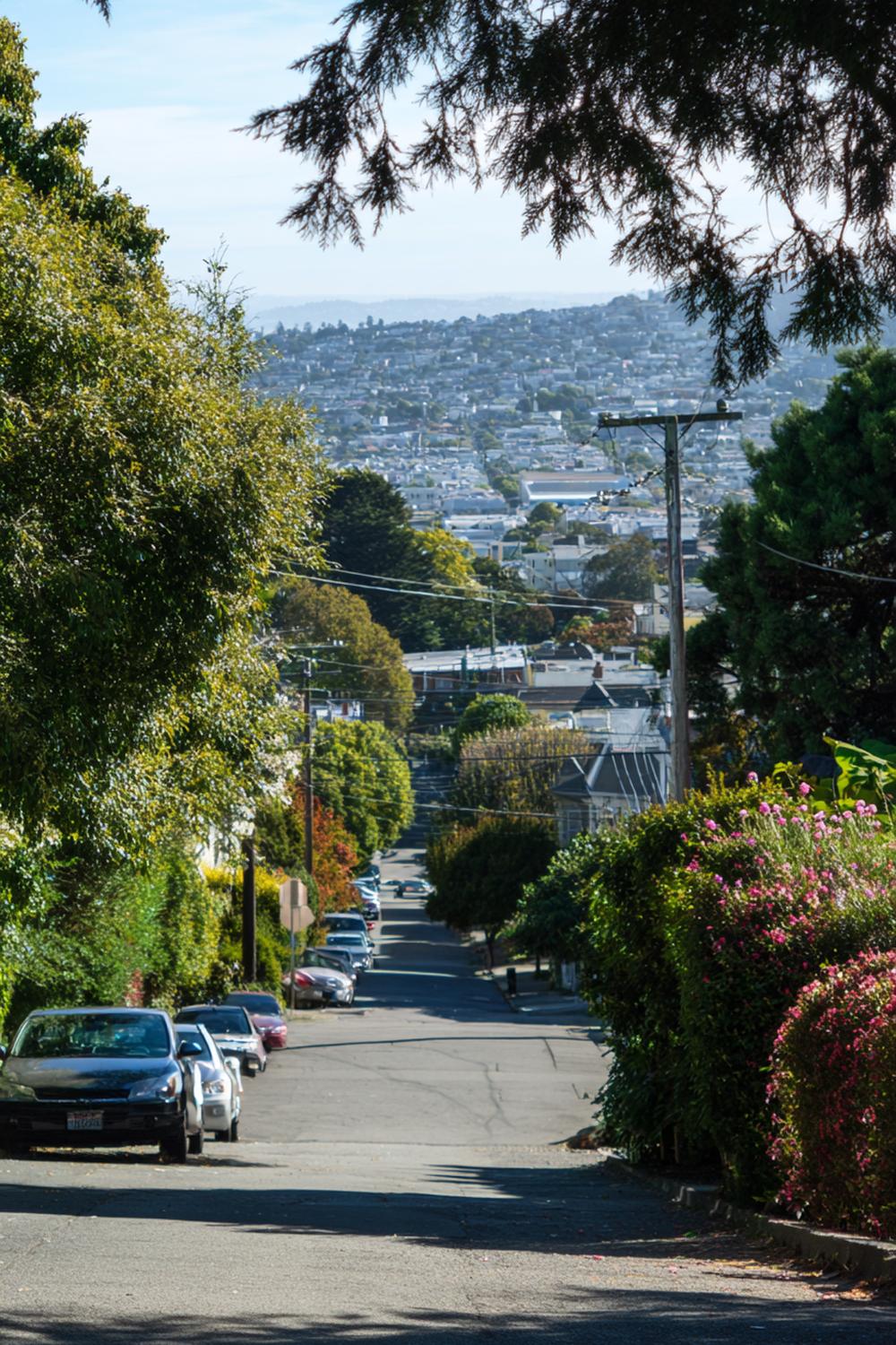 15. Beginner Weight Loss Workouts: Hilly Neighborhood Walk With Scenic Photo Stops